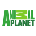 Animal planet